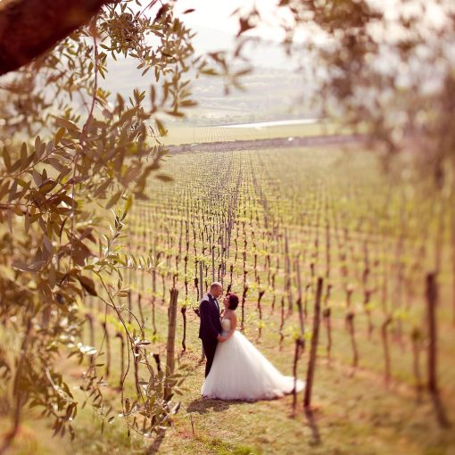 Tenuta di Torriolo (Torrita di Siena &ndash; SI)